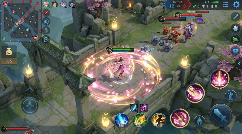 国产主播王者荣耀视频